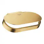 SELECTION ΧΑΡΤΟΘΗΚΗ ΜΕ ΚΑΛΥΜΜΑ BRUSHED COOL SUNRISE 41069GN0 GROHE